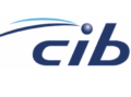 James Peters appointed at CIB