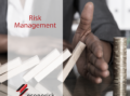 Econorisk Risk Management