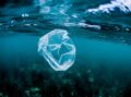 Unilever are Keeping our plastic in the loop