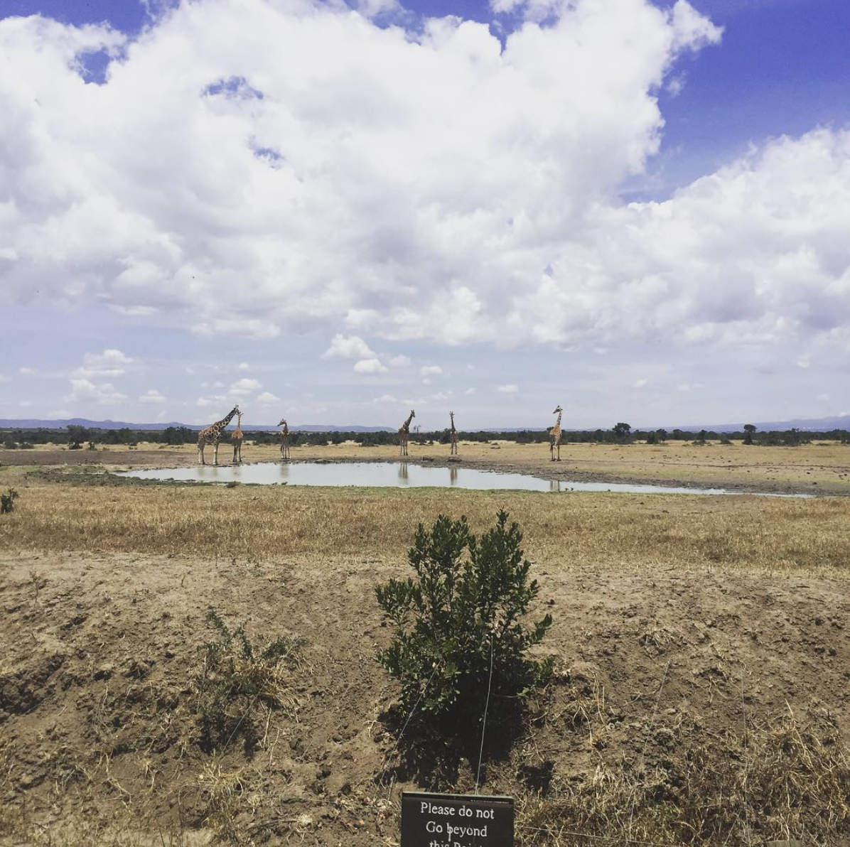 Wide open spaces and wildlife in the Ol Pejeta Conservancy