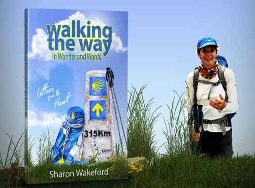 Sharon Wakeford book launch September 2020